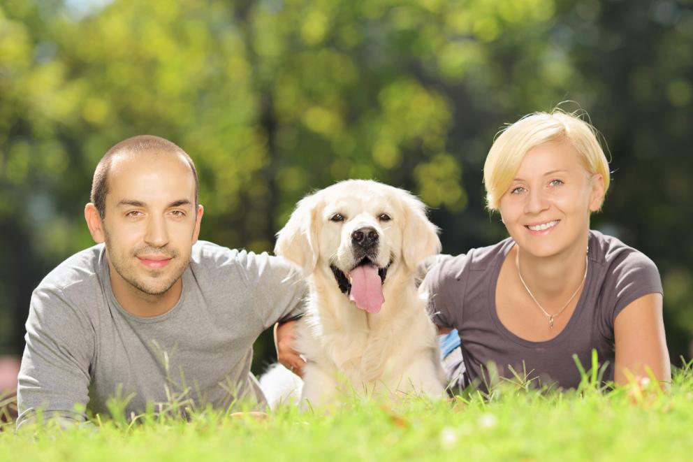 immature Couple Do The Doggie